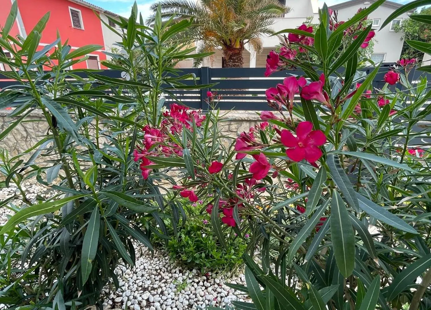 Apartmenthouse Ines Vir Croatia